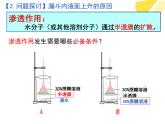 39被动运输 课件