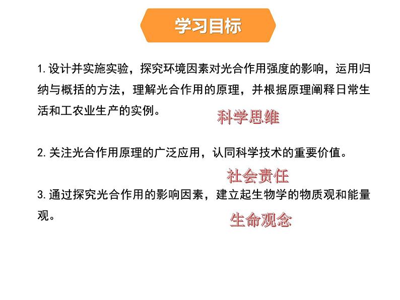 36光合作用的原理和应用第2页