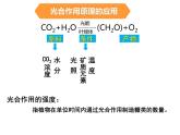 36光合作用的原理和应用 课件