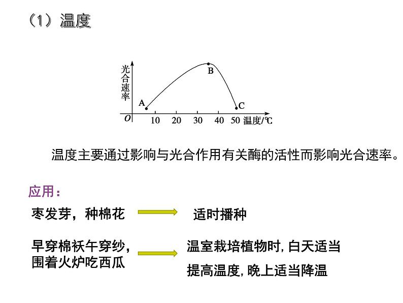 36光合作用的原理和应用第7页