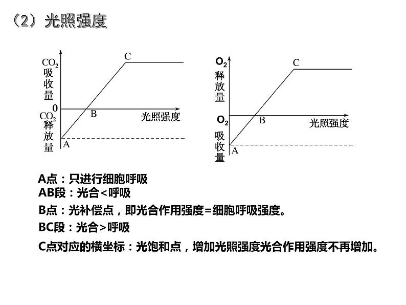 36光合作用的原理和应用第8页