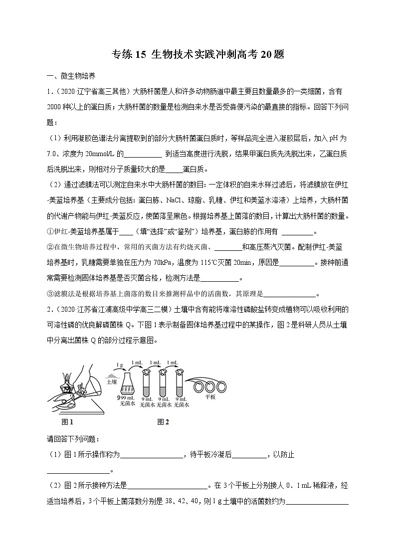 高中生物专练15 生物技术实践冲刺高考20题-2020年高考生物总复习考点必杀800题（无答案）01