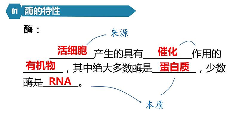 人教版高中生物高一必修一分子与细胞课件5.1降低化学反应活化能的酶第2课时课件第3页