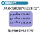 人教版高中生物高一必修一分子与细胞课件5.1降低化学反应活化能的酶第2课时课件