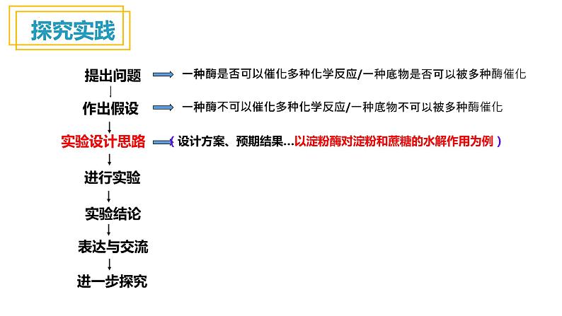 人教版高中生物高一必修一分子与细胞课件5.1降低化学反应活化能的酶第2课时课件第6页