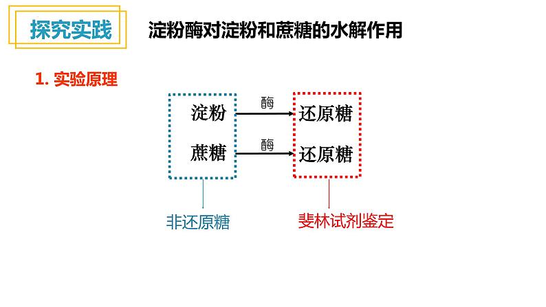 人教版高中生物高一必修一分子与细胞课件5.1降低化学反应活化能的酶第2课时课件第7页