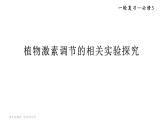 16人教版-微专题-微专题 植物激素调节的相关实验探究课件