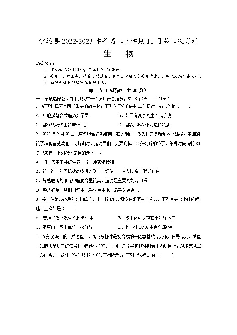 湖南省永州市宁远县2023届高三上学期11月第三次月考生物试卷（含解析）01