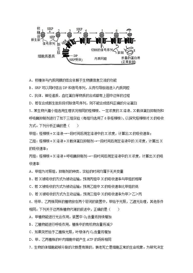 湖南省永州市宁远县2023届高三上学期11月第三次月考生物试卷（含解析）02