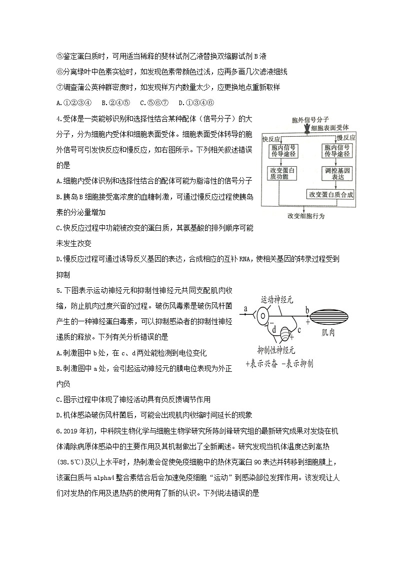 高中生物河北省唐山市第一中学2019届高三生物下学期冲刺试题（四）02