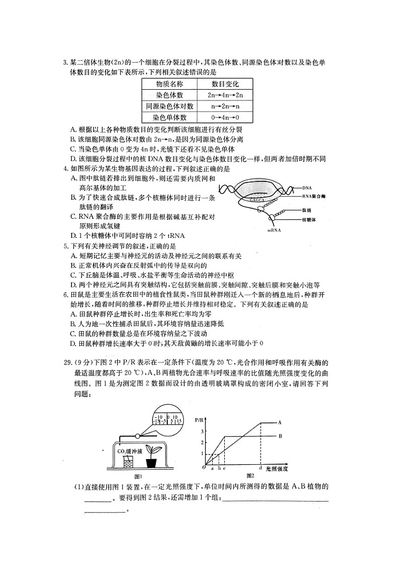 高中生物湖南省长沙市第一中学2019届高考生物下学期模拟卷（一）（扫描版）第2页