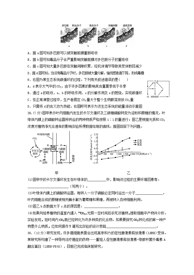 高中生物江西省师范大学附属中学2019届高三生物三模试题第2页