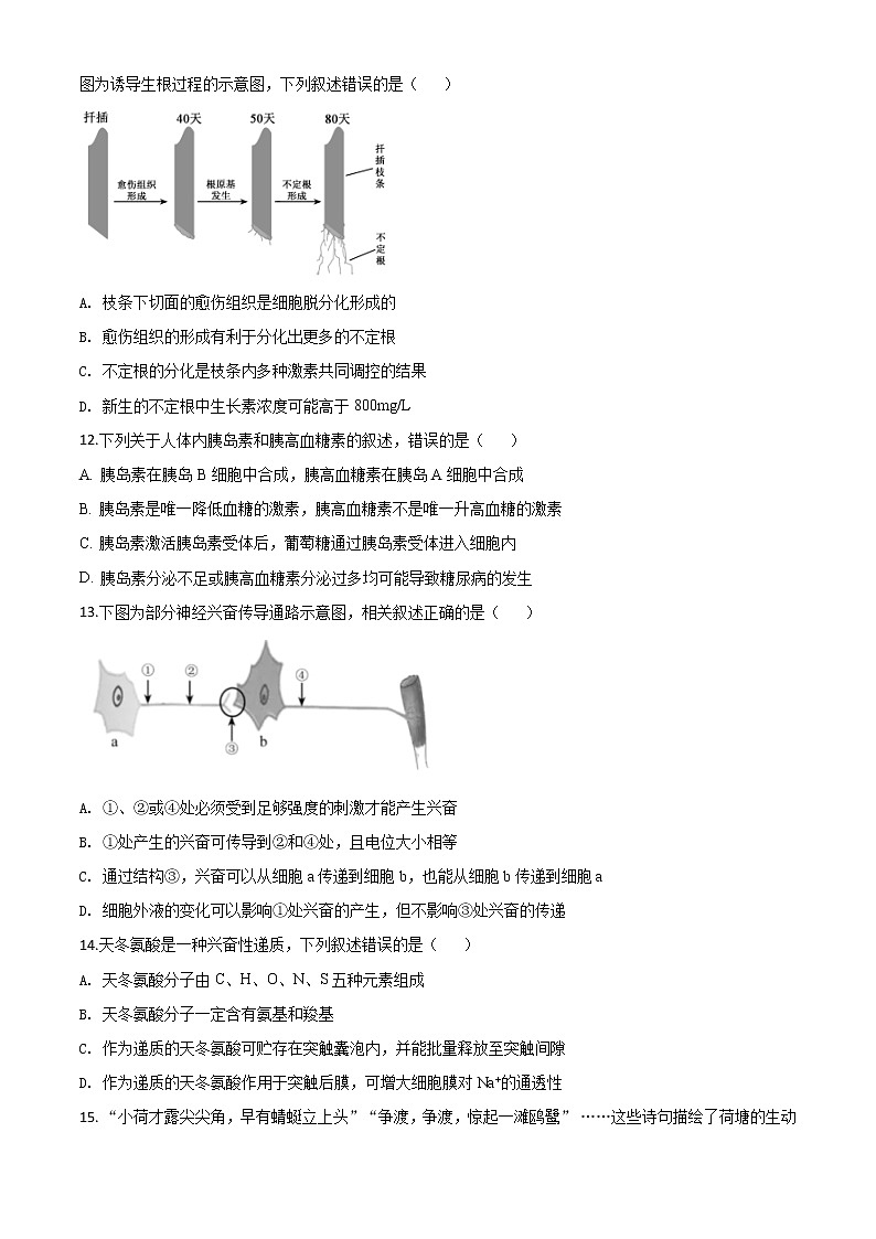 高中生物精品解析：2020年江苏省高考生物试卷（无答案）第3页