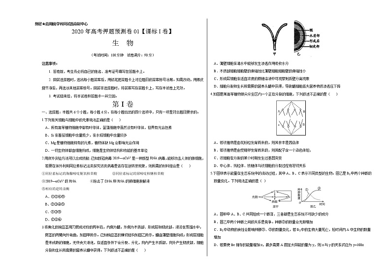 高中生物2020年高考押题预测卷01（课标I卷）-生物（考试版）01