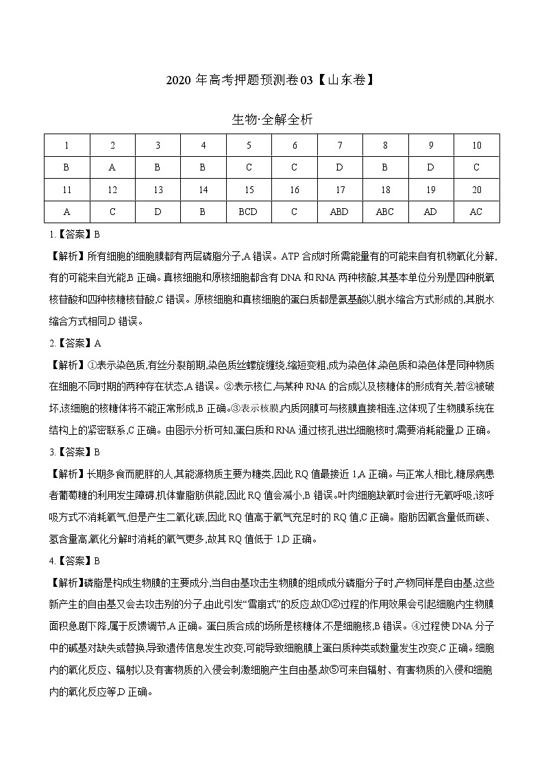 高中生物2020年高考押题预测卷03（山东卷）-生物（全解全析）01