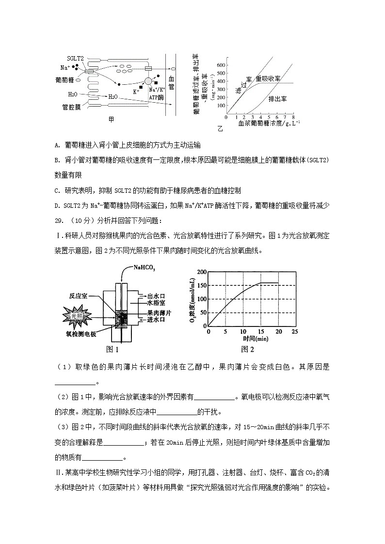 高中生物安徽省定远县民族中学2019届高三生物下学期最后一次模拟考试试题第3页