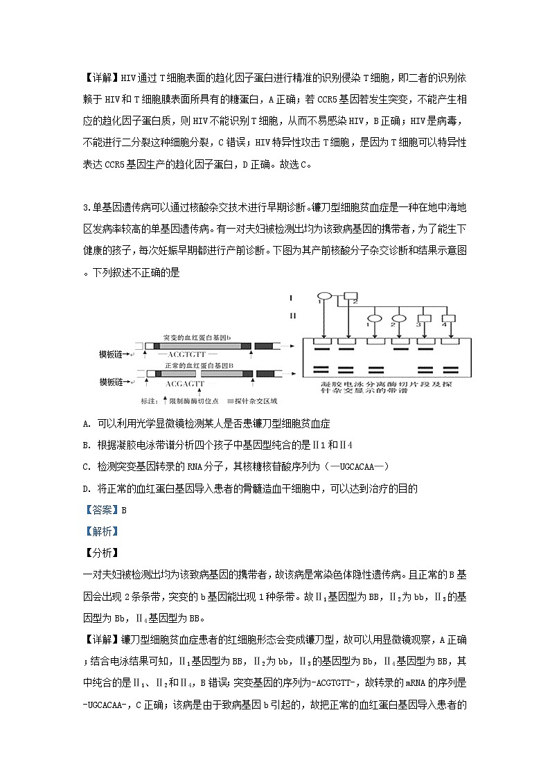 高中生物北京市门头沟区2019届高三生物一模考试试卷（含解析）第2页