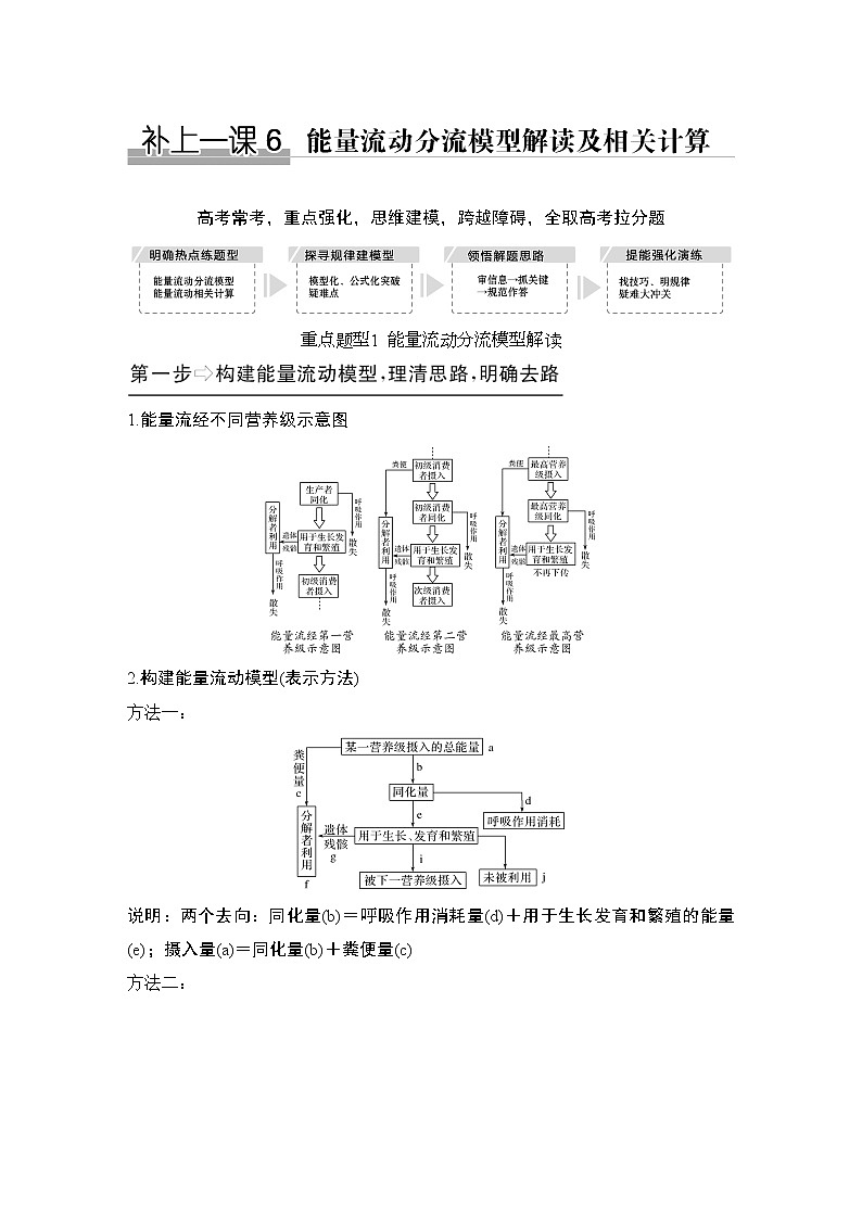 高中生物补上一课6 能量流动分流模型解读及相关计算01