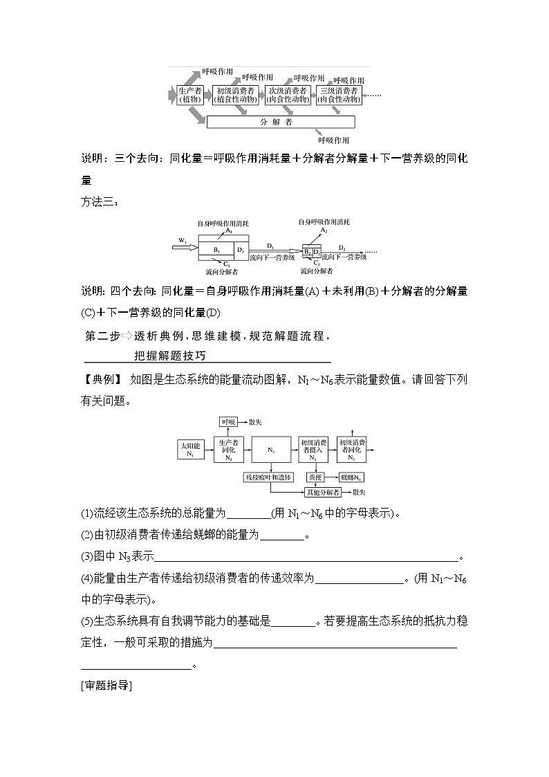 高中生物补上一课6 能量流动分流模型解读及相关计算02