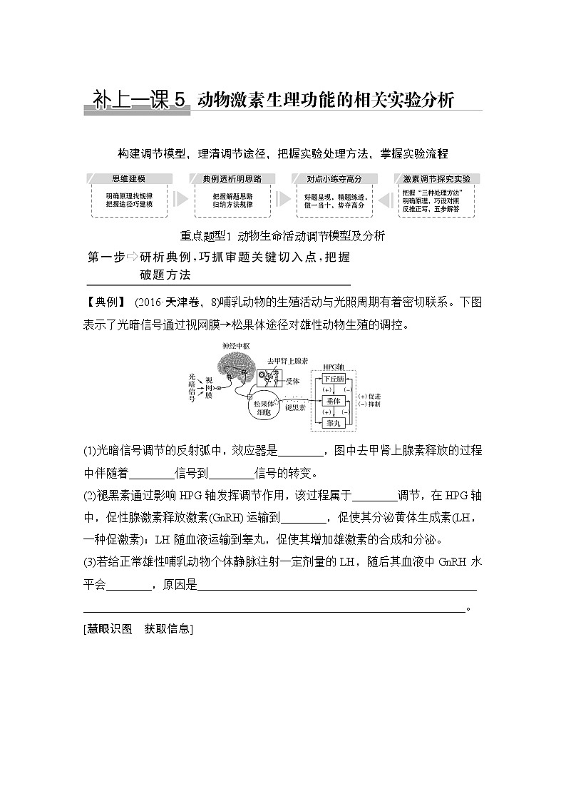 高中生物补上一课5 动物激素生理功能的相关实验分析第1页