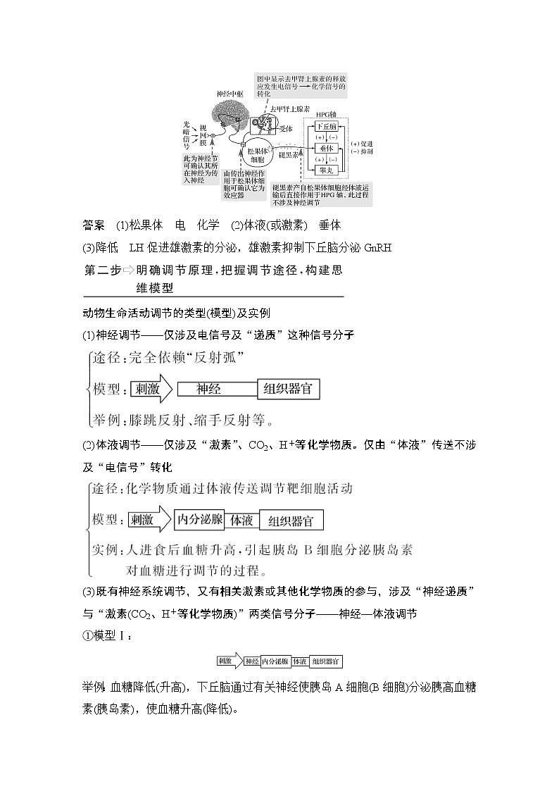 高中生物补上一课5 动物激素生理功能的相关实验分析第2页