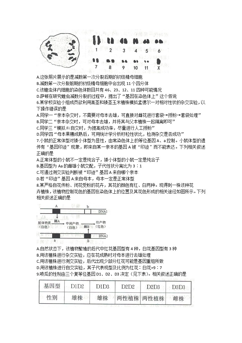 生物试卷山东省济宁市2022-2023学年高三上学期期中考试02