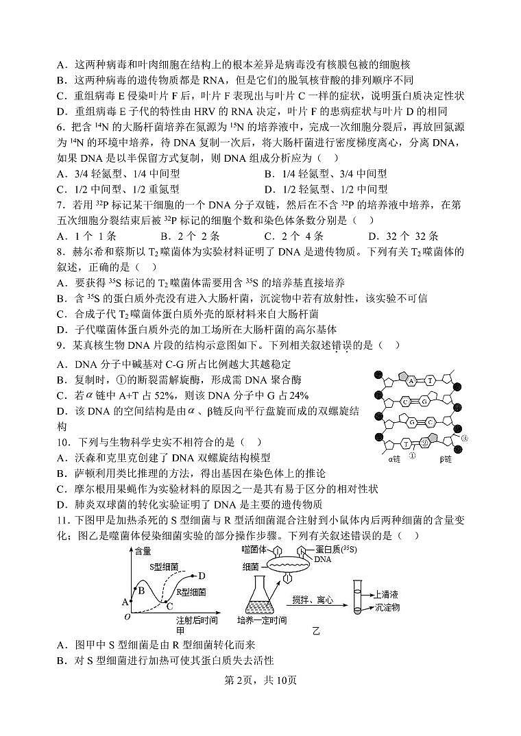 陕西省西安市长安区第一中学2022-2023学年高二生物上学期期中考试（PDF版附答案）第2页