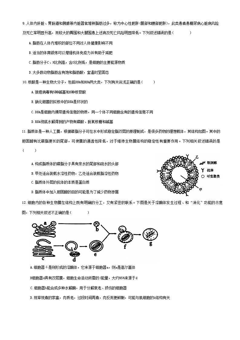 湖南省益阳市安化一中、安化二中2022年期中联考高一生物试卷（含答案）第3页