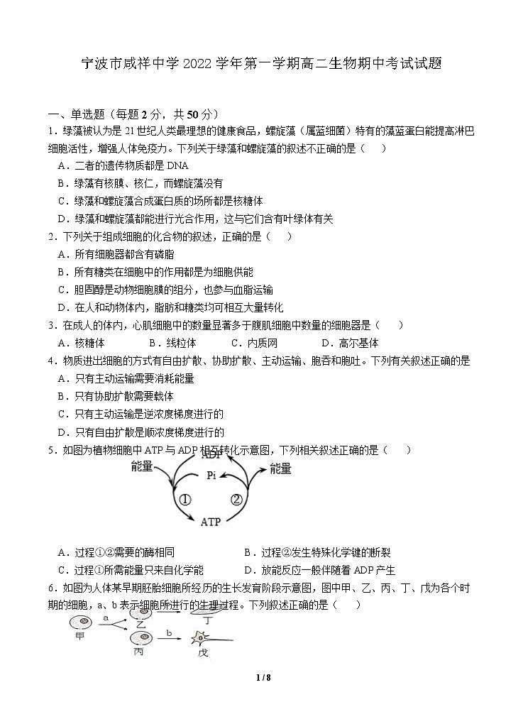 浙江省宁波市咸祥中学2022-2023学年高二生物上学期期中检测试题（Word版附答案）第1页