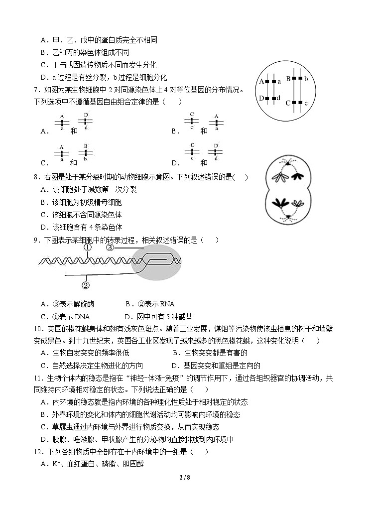 浙江省宁波市咸祥中学2022-2023学年高二生物上学期期中检测试题（Word版附答案）第2页