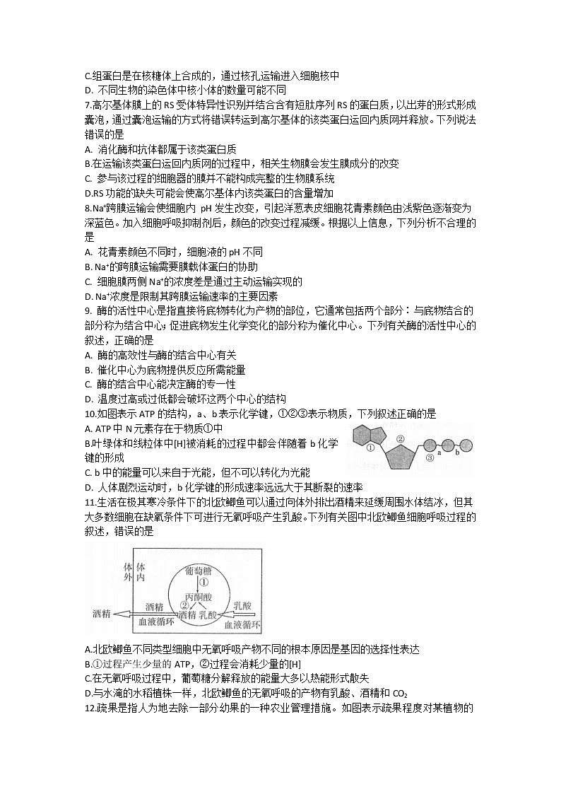河南省南阳市2022-2023学年高三上学期期中考试生物试题02