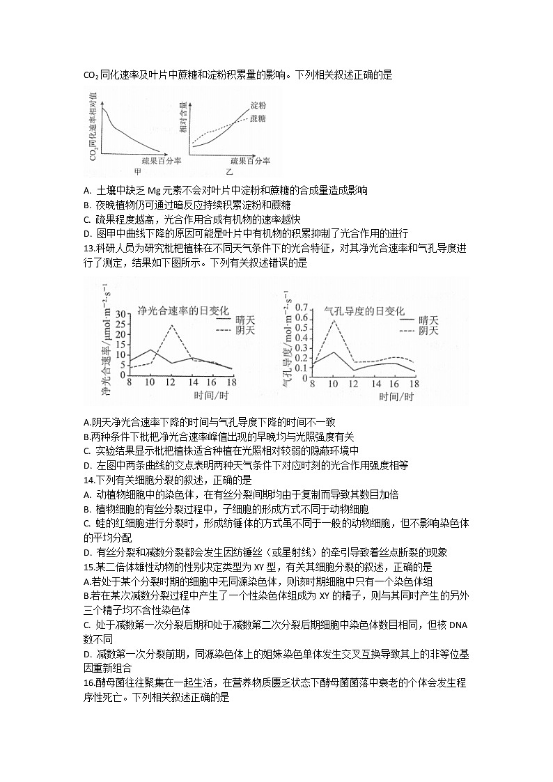 河南省南阳市2022-2023学年高三上学期期中考试生物试题03