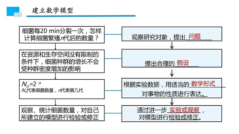 1.2种群数量的变化 课件07