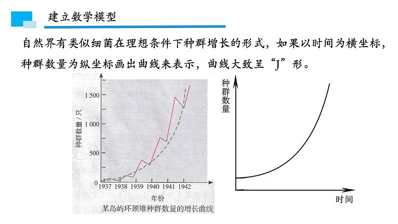 1.2种群数量的变化 课件08