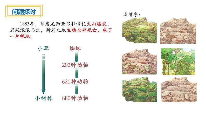 2.3 群落的演替第4页