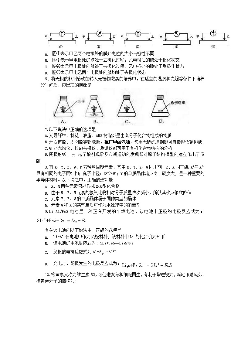 高中生物2019年高考试题理综(浙江卷)精准版第2页