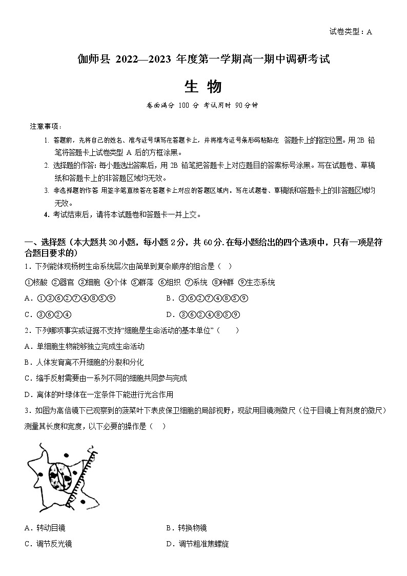 2023维吾尔自治区喀什地区英吉沙县高一上学期11月期中生物试题含答案01