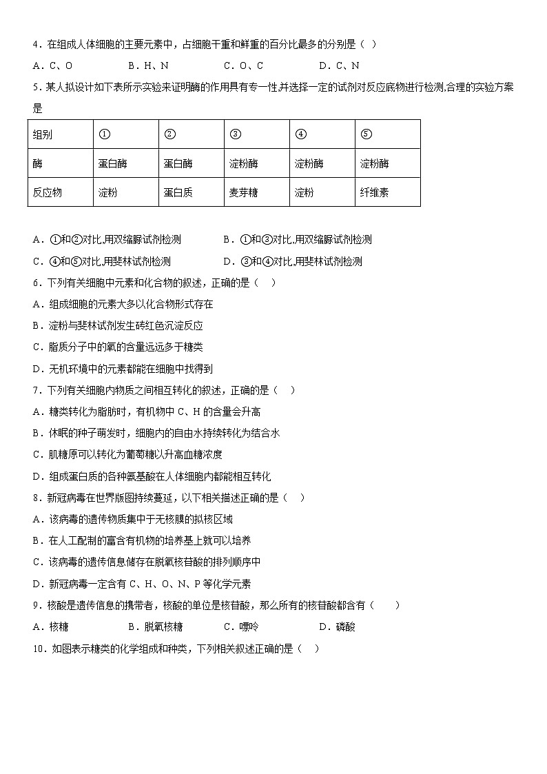 2023维吾尔自治区喀什地区英吉沙县高一上学期11月期中生物试题含答案02