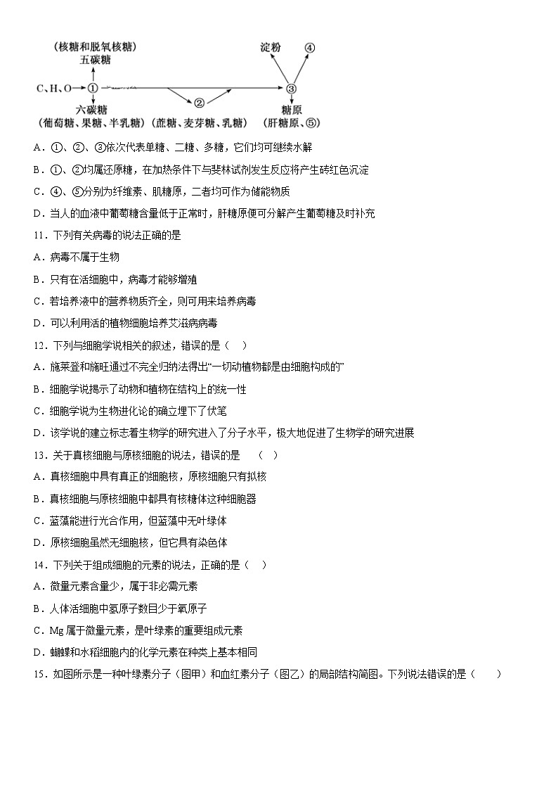 2023维吾尔自治区喀什地区英吉沙县高一上学期11月期中生物试题含答案03