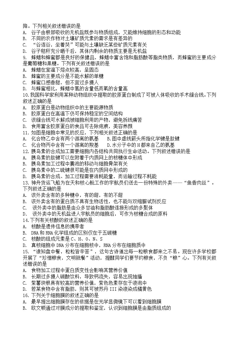 2023洛阳高一上学期期中考试生物含答案第2页