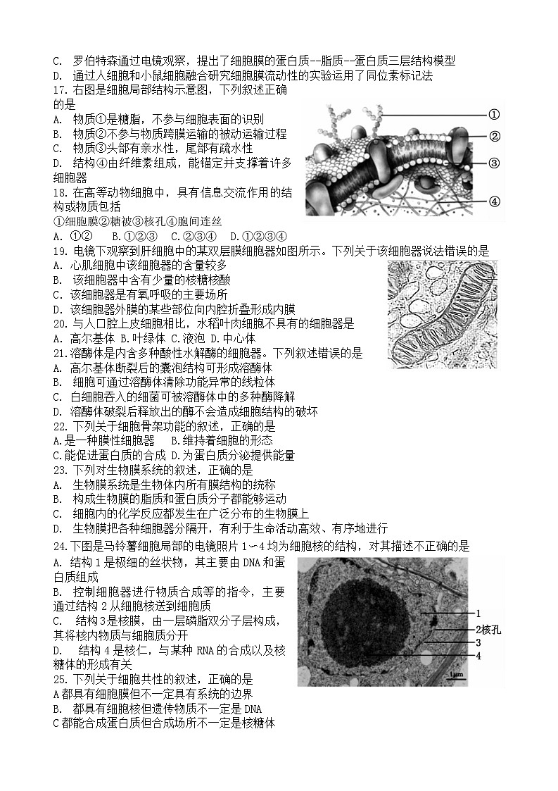 2023洛阳高一上学期期中考试生物含答案第3页