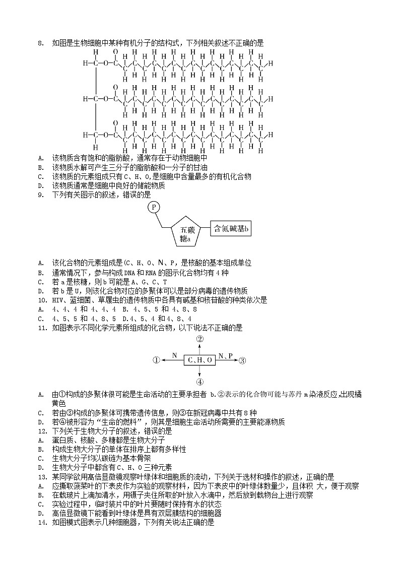 2023商丘高一上学期期中联考生物试题无答案第2页