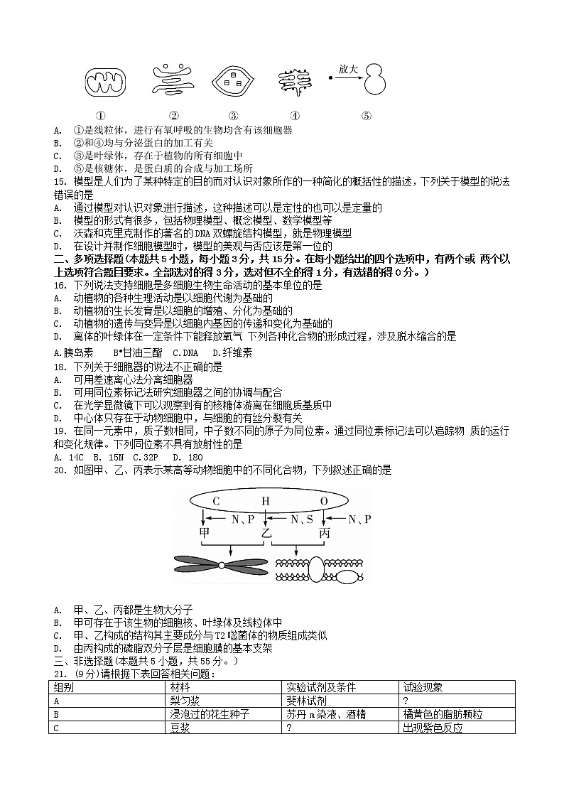 2023商丘高一上学期期中联考生物试题无答案第3页