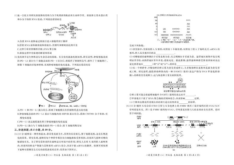 河北省部分学校2022-2023学年高三生物上学期11月联考试题（PDF版附解析）03