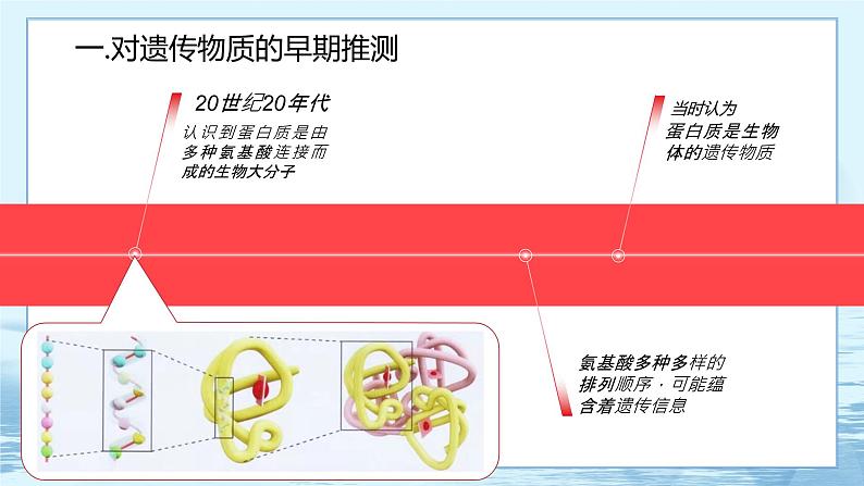 3.1 DNA是主要的遗传物质-高中生物 课件+练习（人教版2019 必修2）04