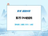 3.2 DNA的结构-高中生物 课件+练习（人教版2019 必修2）