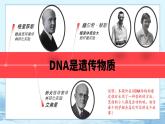 3.2 DNA的结构-高中生物 课件+练习（人教版2019 必修2）