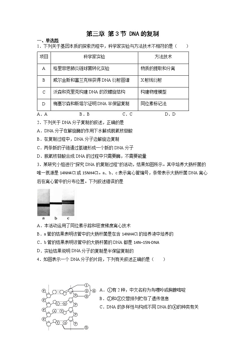 3.3 DNA的复制（练习）第1页