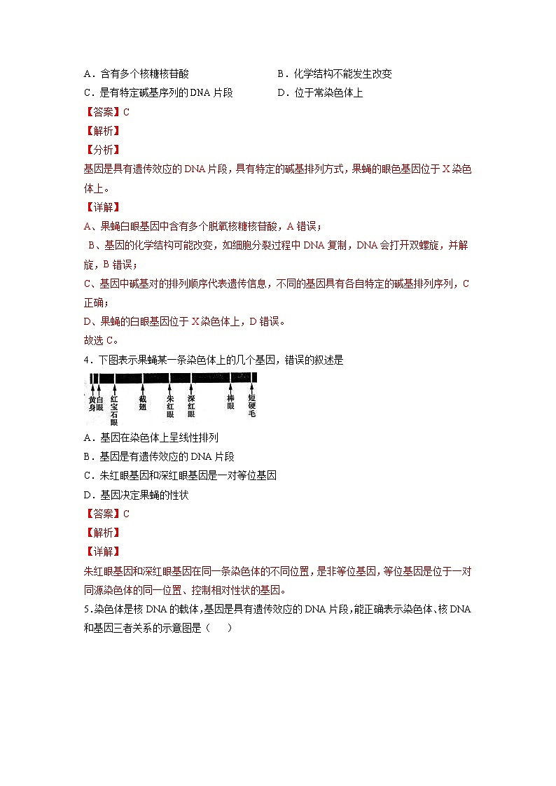 3.4 基因通常是有遗传效应的DNA片段-高中生物 课件+练习（人教版2019 必修2）02