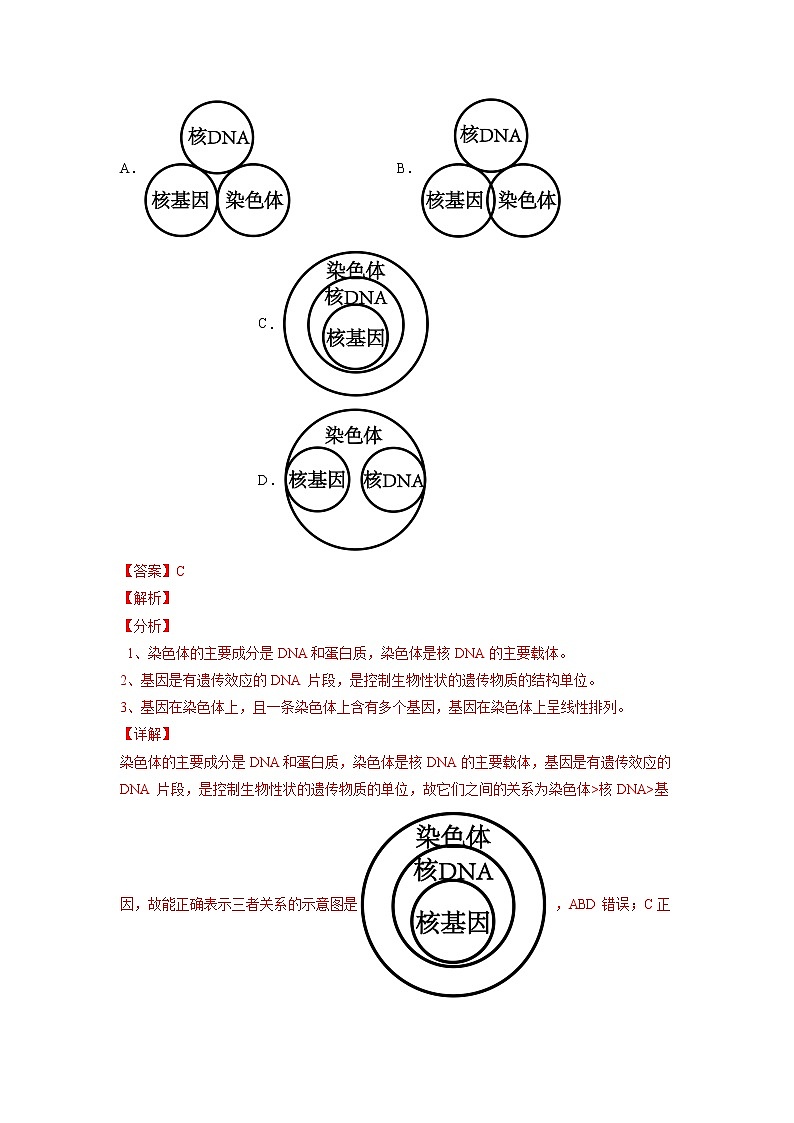 3.4 基因通常是有遗传效应的DNA片段-高中生物 课件+练习（人教版2019 必修2）03